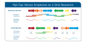 Hyb Capture vs Amplicon in Viral Sequencing