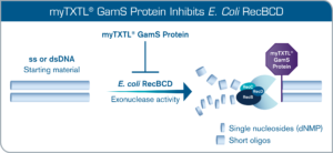 GamS Protein Inhibition