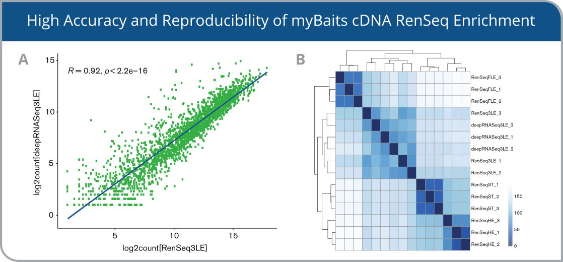 high accuracy and reproducibility of mybaits cdina renseq enrichment
