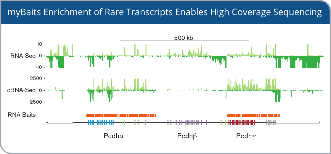mubaits enrichment of rare transcripts enables high coverage sequencing