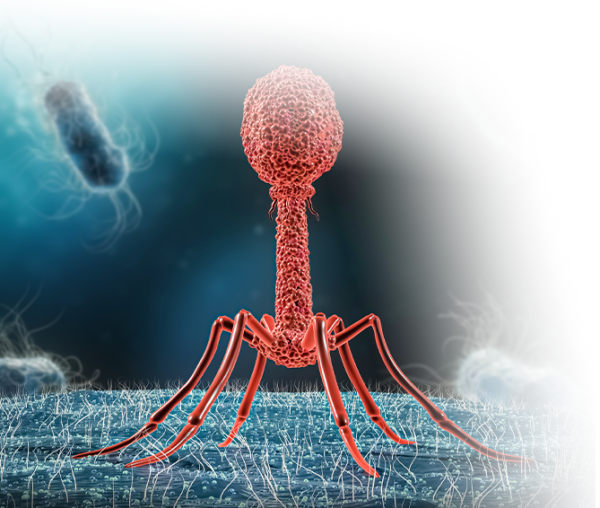 Bacteriophage Research And Production | Arbor Biosciences